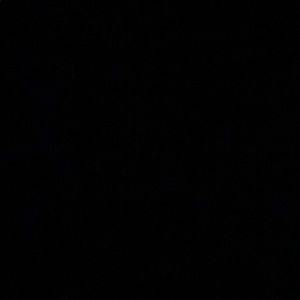 Meet your Posher, Trevor